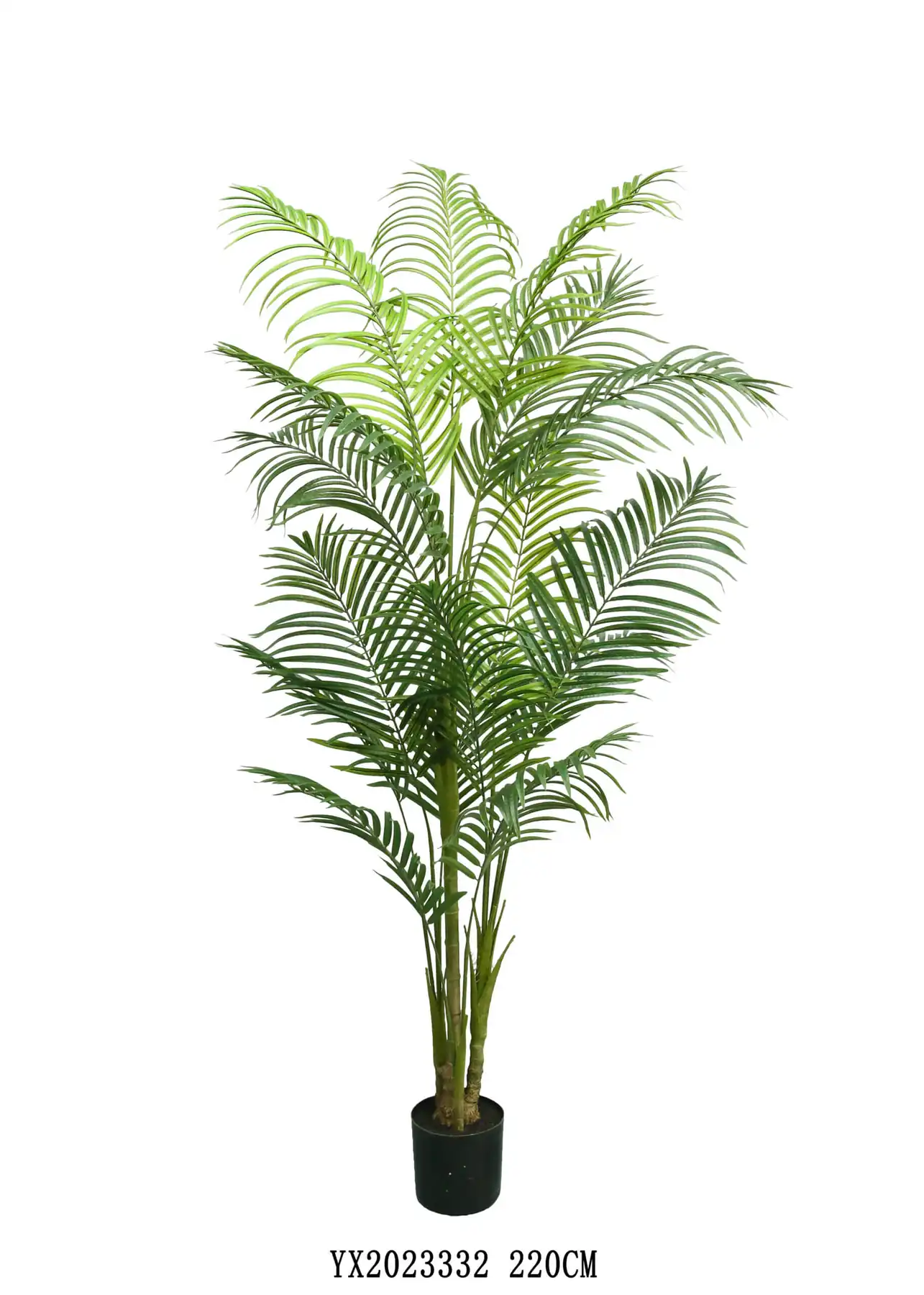 16 Leaves Queen Palm KD 220 cm artificial tree made by MG TREE