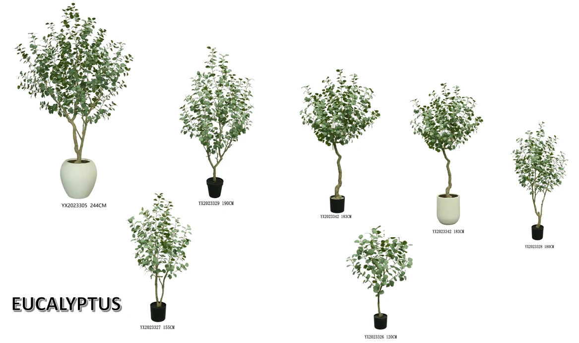 Eucalyptus 183 cm alternative view 3