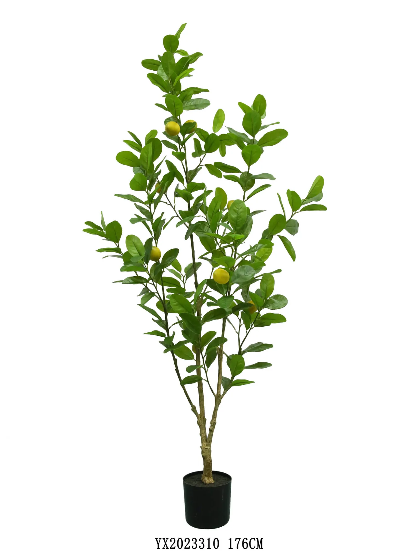 228 Leaves 8 Fruits Lemon Tree 176 cm alternative view 2