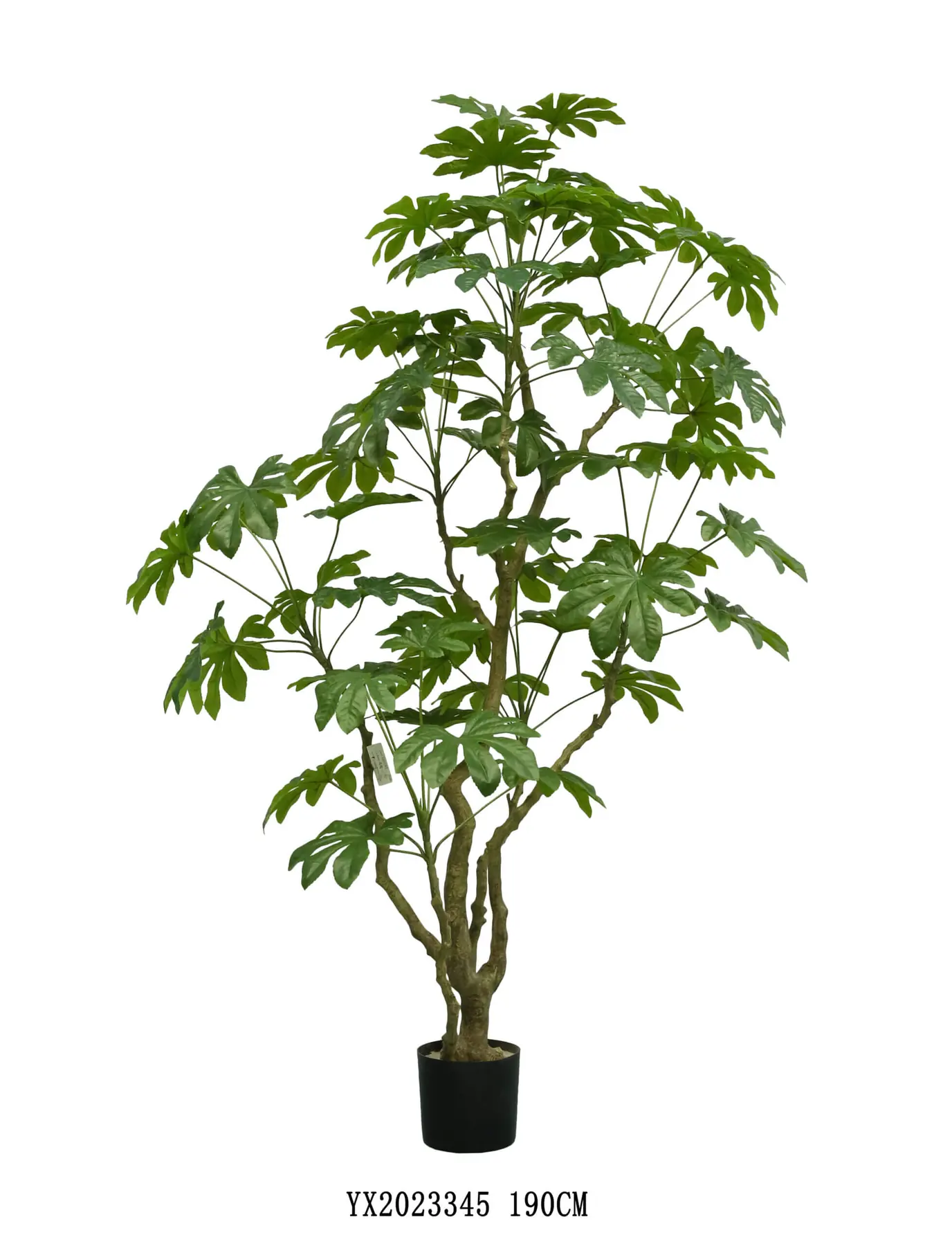 64 Leaves Eight Horn Ficus 190 cm alternative view 2