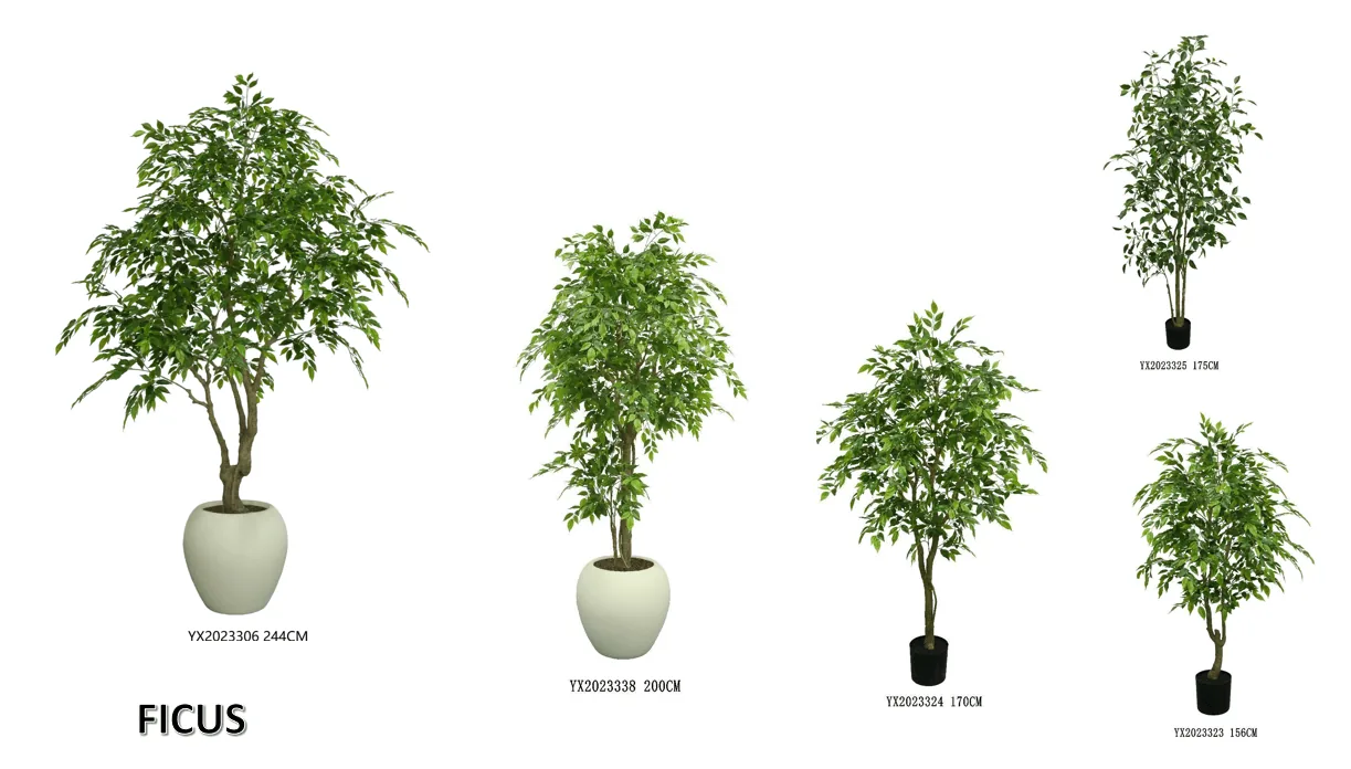 Mini Leaf Ficus 244 cm alternative view 3