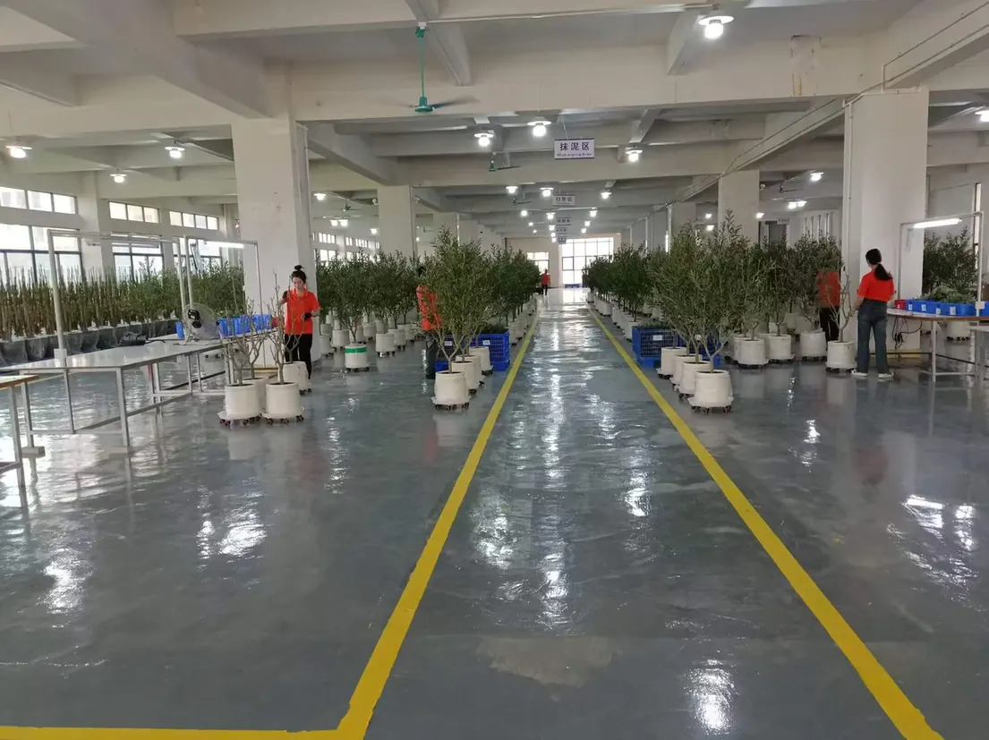 Artificial olive trees lined up on the MG TREE assembly floor