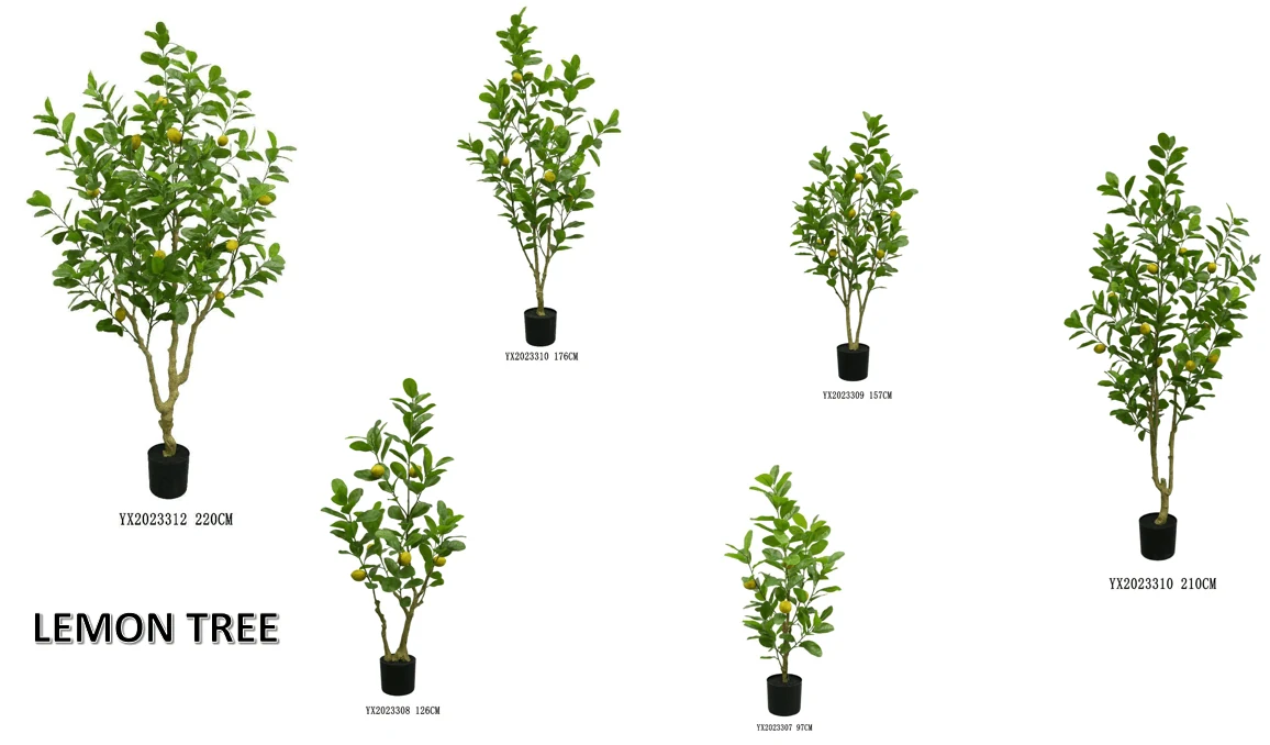 343 Leaves 11 Fruits Lemon Tree KD YX2023311 alternative view 3