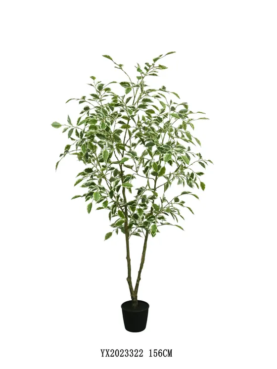 White Edge Ficus 156 cm artificial tree