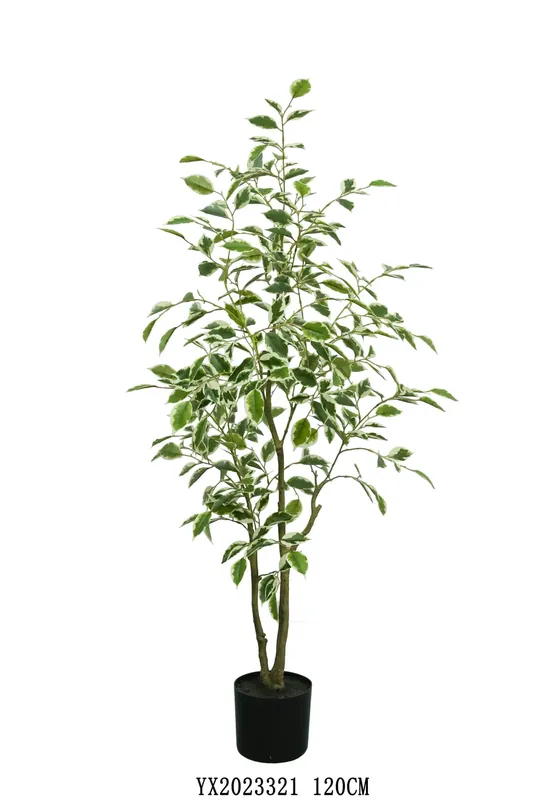 White Edge Ficus 120 cm artificial tree