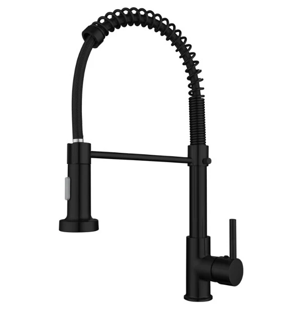 Matt black spring arm kitchen mixer with an auxiliary spout