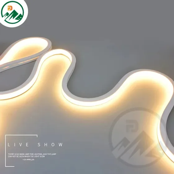 DC24V silicone LED strip light with flexible silicone body and visible SMD 2835 LEDs