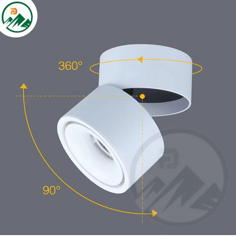 LED Down Light