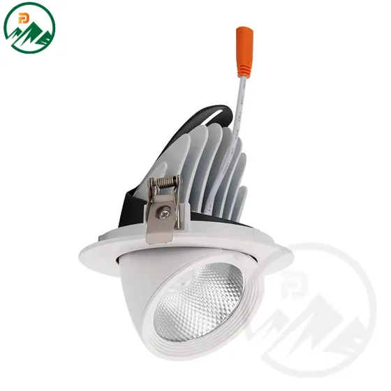 Ivory-shaped LED downlight with circular aluminium body and rotatable beam