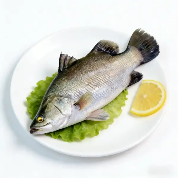 Whole barramundi plated with lemon showing silver skin and firm body