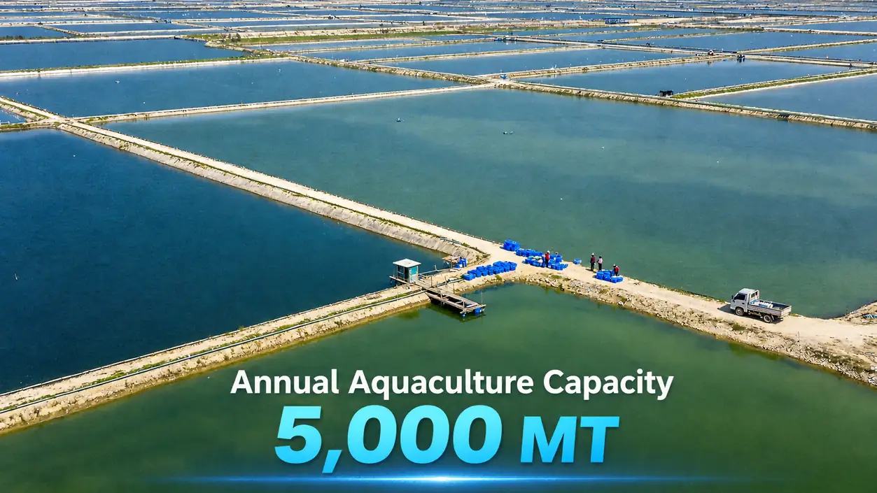Brackish water farming ponds operated by FFH Food in Baijiao Zhuhai
