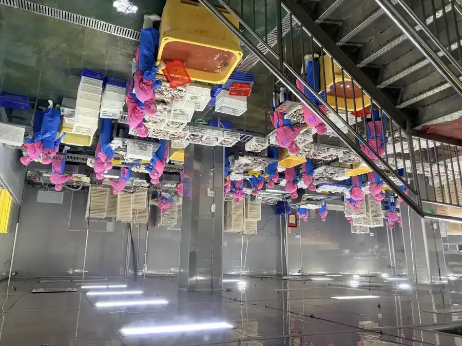 Inside the EU approved seafood processing hall of FFH Food in Zhuhai