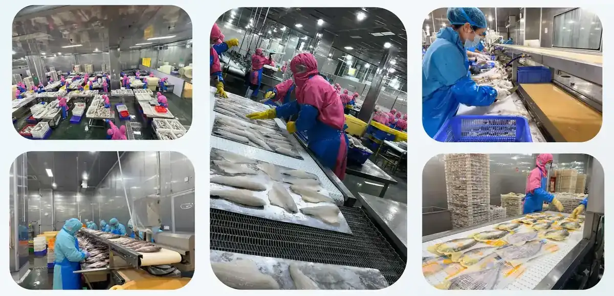 Production areas of the FFH Food seafood factory in Zhuhai