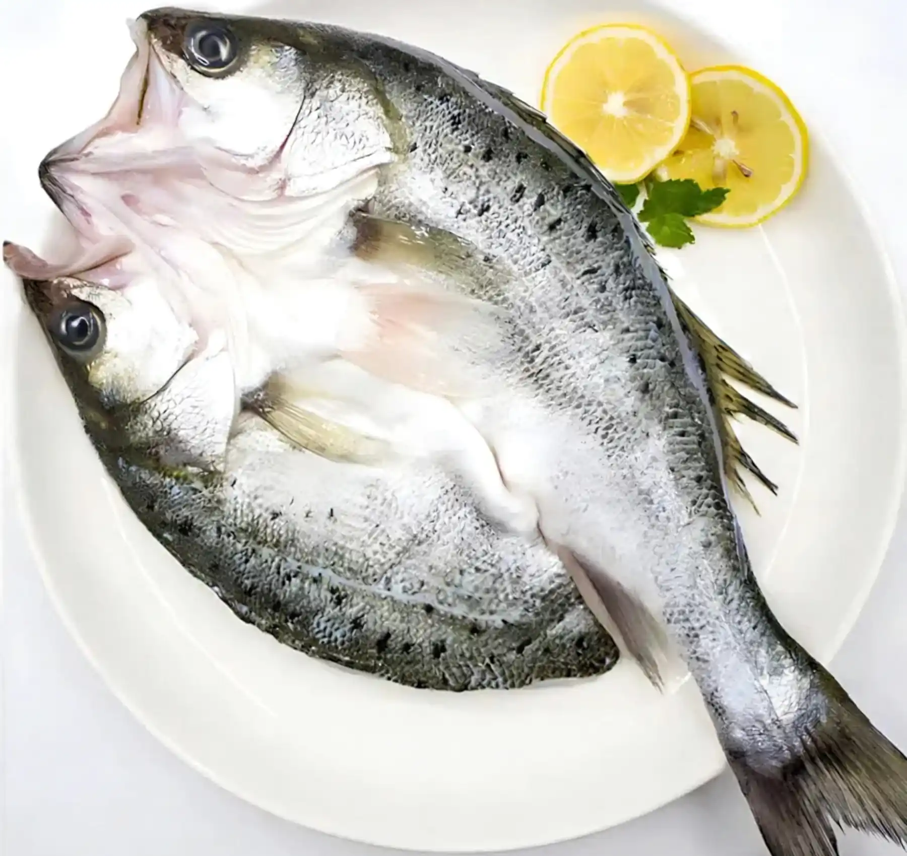 Butterfly cut sea bass opened flat for grilling and baking