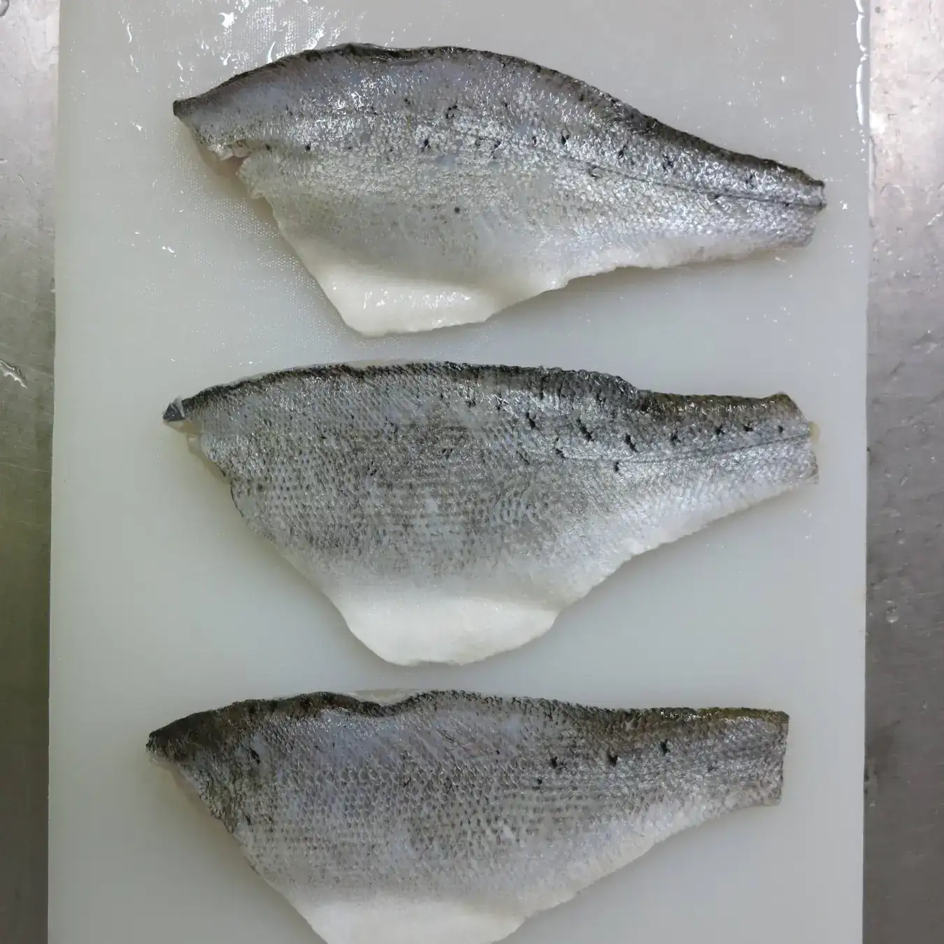 Trimmed skin-on sea bass fillets arranged for IQF freezing