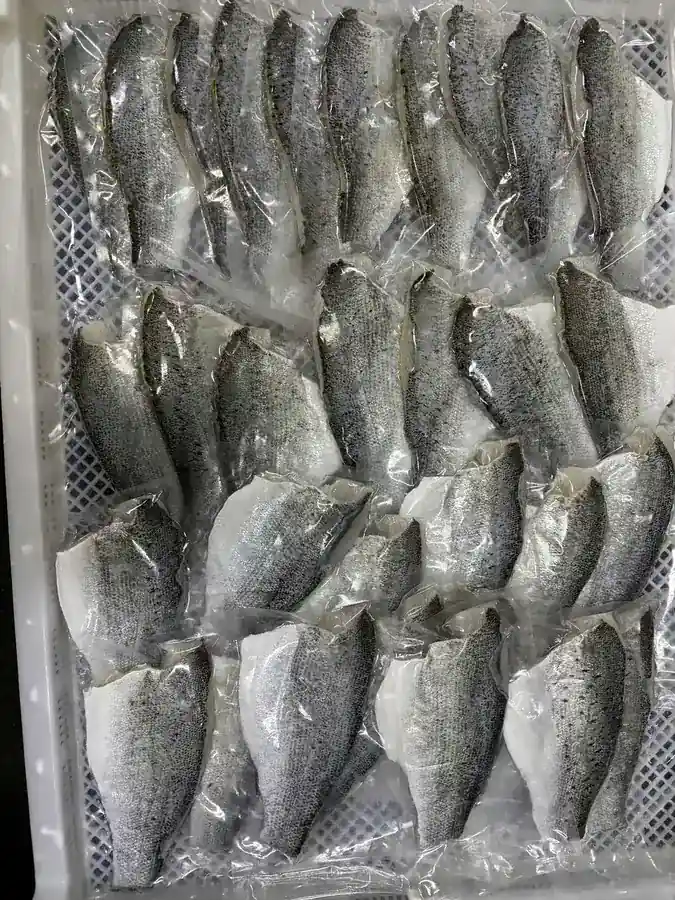 Individually vacuum packed sea bass fillets prepared for retail sale