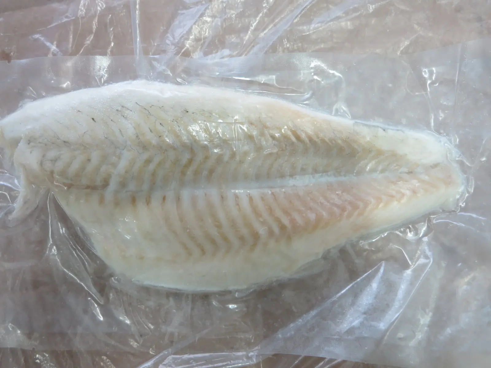 Skinless boneless sea bass fillet ready for portioning