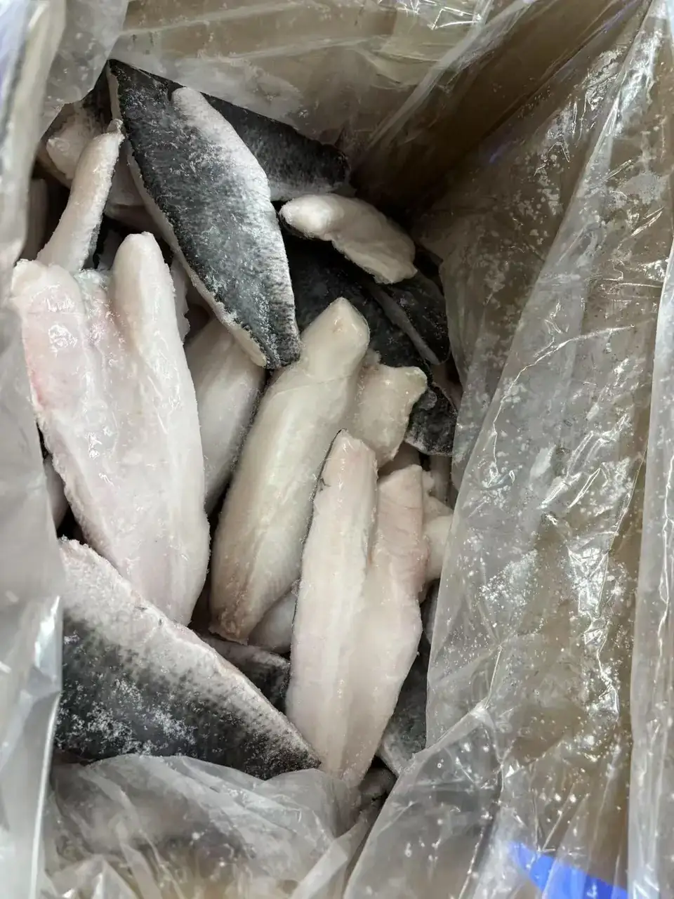 Boneless snakehead fish fillets packed in bulk cartons