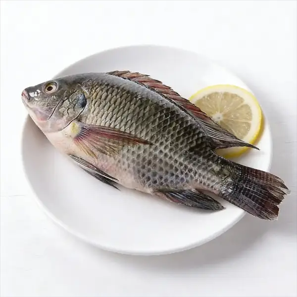 Whole tilapia plated with lemon showing firm body and scaled skin