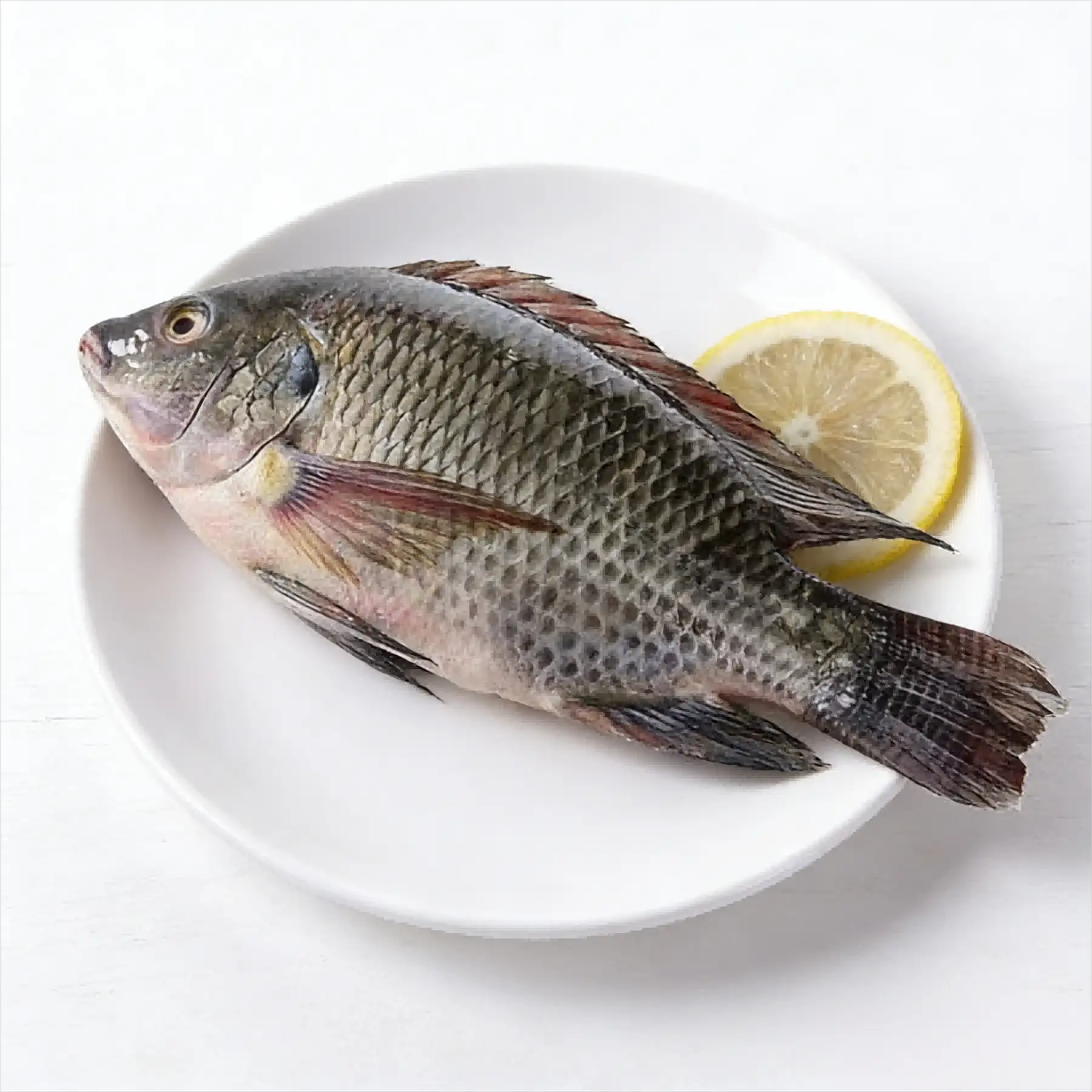 Whole tilapia plated with lemon showing firm body and scaled skin