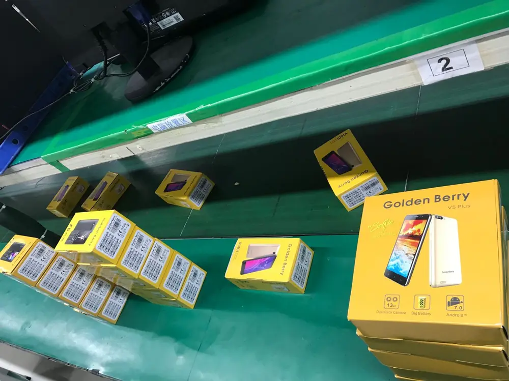 Finished Golden Berry retail boxes moving along the packing conveyor at the end of the assembly line
