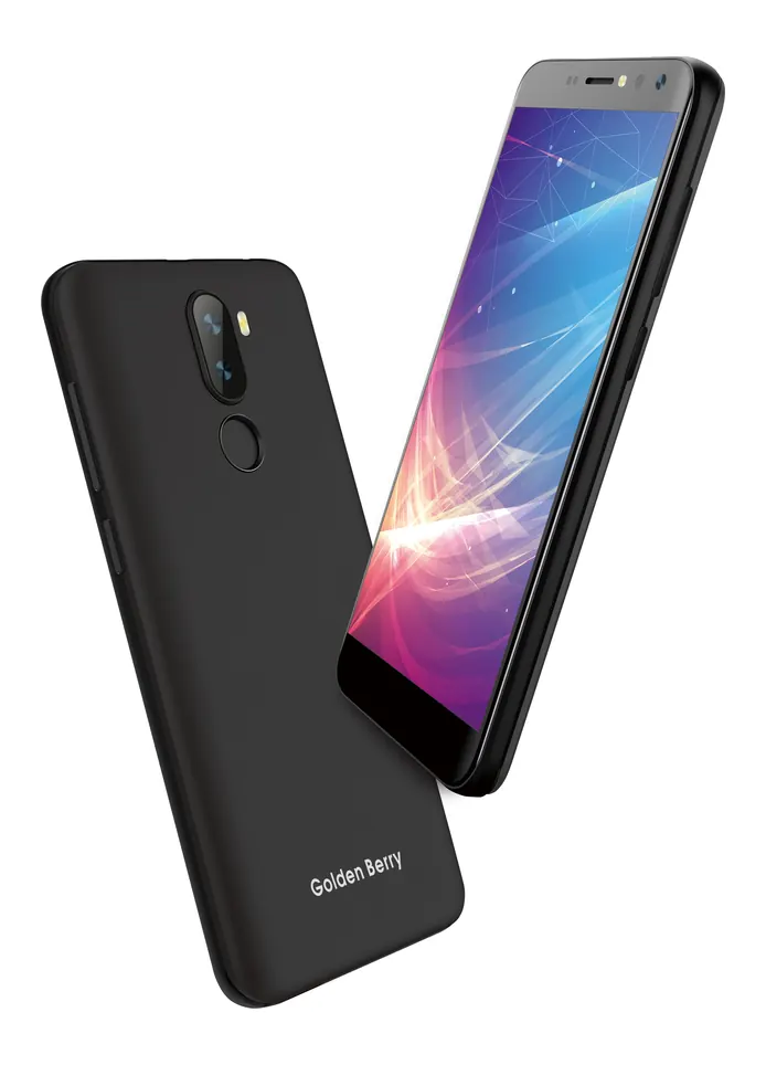 GB Pro handset
