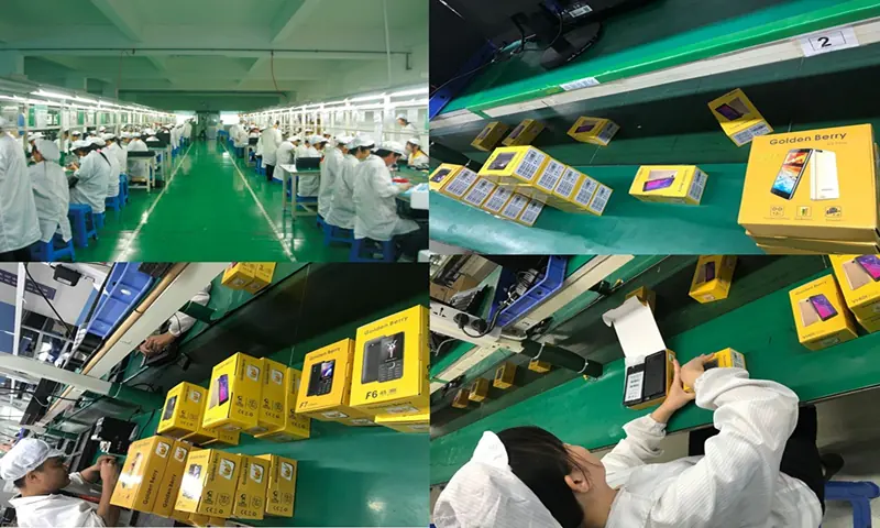 Four views of the Golden Berry production line: assembly, retail boxes on the conveyor, packing and carton loading