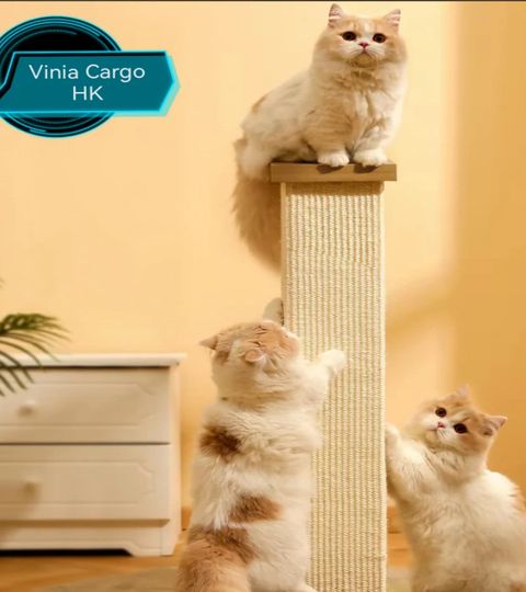 Single-pillar scratching post