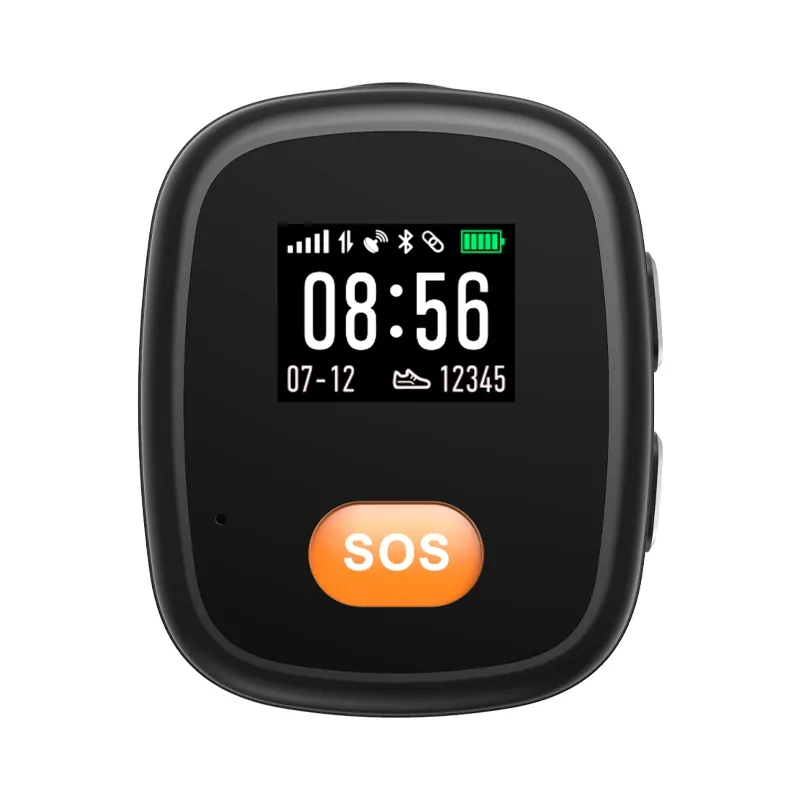 4G Pendant GPS L15