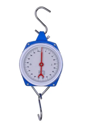 Hanging Scales