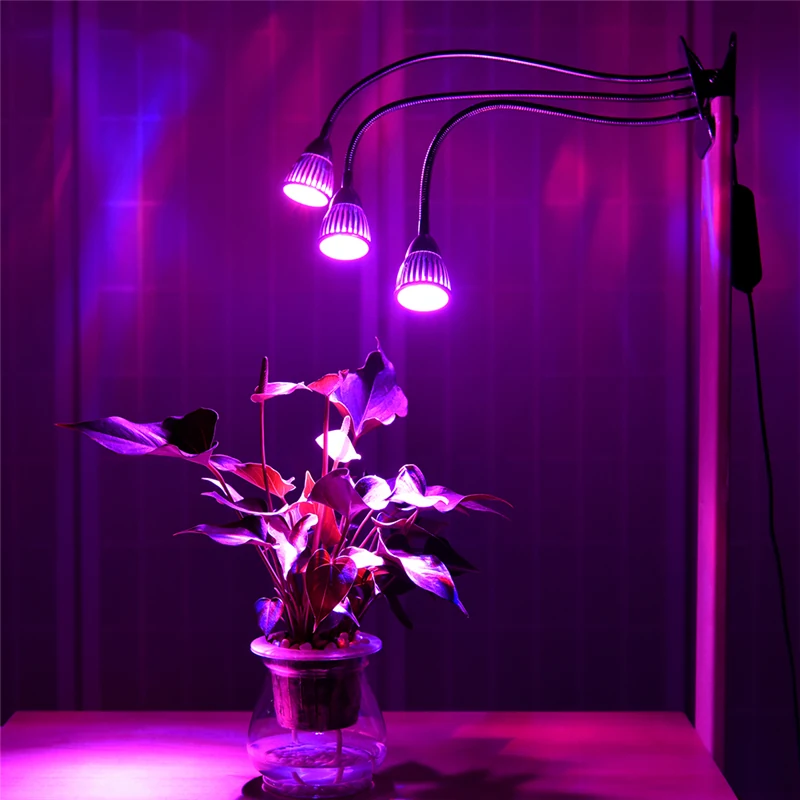 Three Head LED Grow Light With Timer - application example