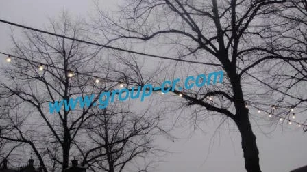 5W LED Globe Bulb E27 425lm - detail view