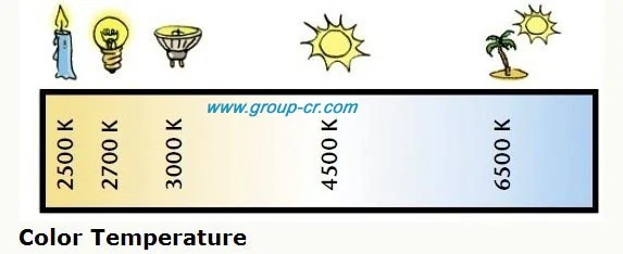 600mm T8 LED Tube Light from C&R Group