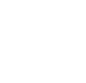 Duolisi logo