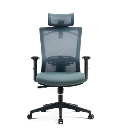 Bifma Standard High Back Swivel Revolving Lounge Adjustable Mesh Ergonomic Executive Office Chairs Furniture (2319 Series) view 2