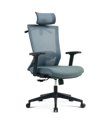 Bifma Standard High Back Swivel Revolving Lounge Adjustable Mesh Ergonomic Executive Office Chairs Furniture (2319 Series)