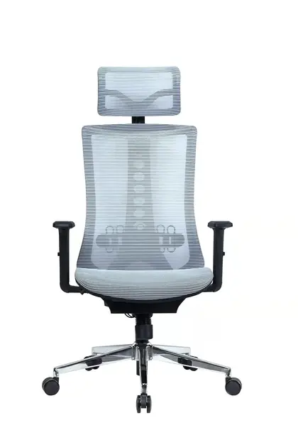Executive Swivel Chair Mesh Comfortable High Back Luxury Ergonomic Office Chair view 3
