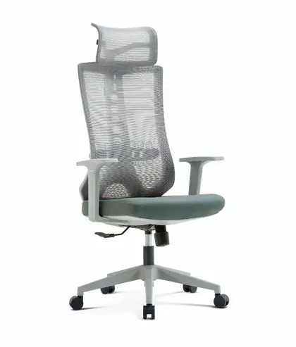 Executive Swivel Chair Mesh Comfortable High Back Luxury Ergonomic Office Chair (2210 Series) - Grey Mesh White Frame