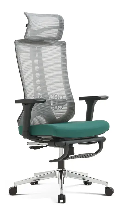 Executive Swivel Chair Mesh Comfortable High Back Luxury Ergonomic Home Office Chair with Footrest view 2