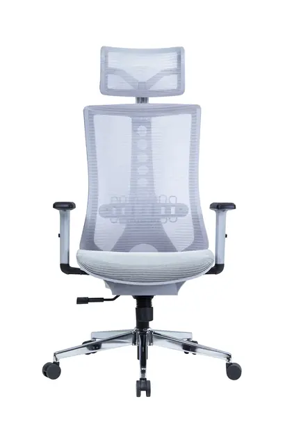 Executive Swivel Chair Mesh Comfortable High Back Luxury Ergonomic Office Chair (2210 Series) - Light Blue Mesh White Frame view 2