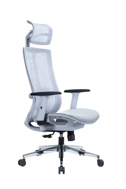 Executive Swivel Chair Mesh Comfortable High Back Luxury Ergonomic Office Chair (2210 Series) - Light Blue Mesh White Frame