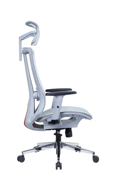Executive Swivel Chair Mesh Comfortable High Back Luxury Ergonomic Office Chair (2210 Series) - Light Blue Mesh White Frame view 3
