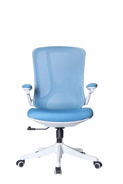 High Quality New Design Modern Mesh Reclining Ergonomic Office Chair - Blue Mesh White Frame view 4