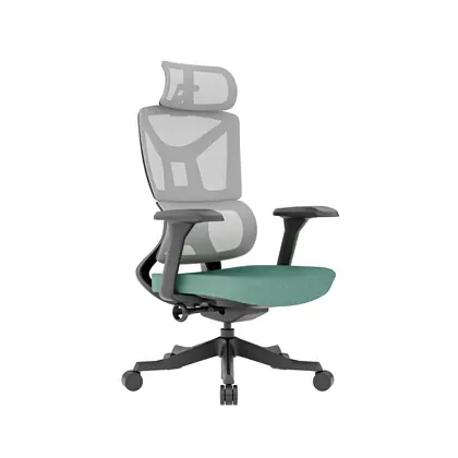 High Quality Office Furniture Mesh Guest Manager Ergohuman Executive Mesh Chair (2320 Series) - Green Seat