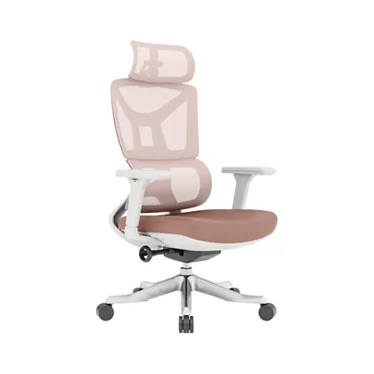 High Quality Office Furniture Mesh Guest Manager Ergohuman Executive Mesh Chair (2320 Series) - Rose Mesh