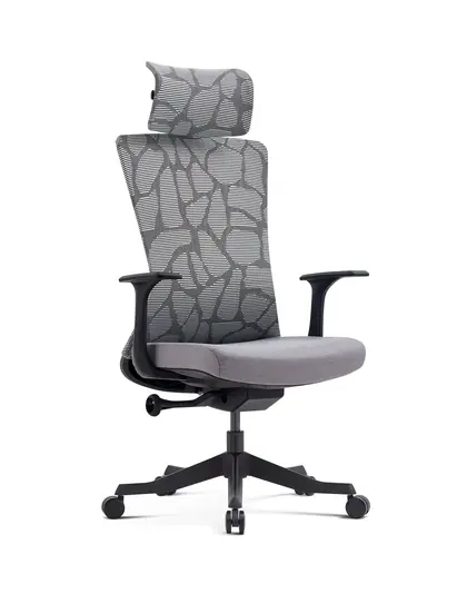 Home Office Furniture Ergonomic Mesh Desk Chairs Manager Work Chair (2326 Series)
