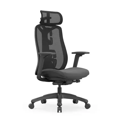 New Arrival Office Chairs Luxury Ergonomic Mesh Office Desk Chairs with Adjustable Armrest Office Work Chair (New Design Loke Series) - Grey Mesh