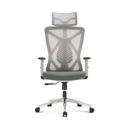 Hot Sales Swivel Office Furniture Plastic Home Desk Ergonomic Executive Chair (2216 Series) view 2