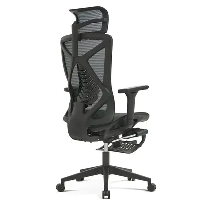 Hot Sales Swivel Office Furniture Plastic Home Desk Ergonomic Executive Chair with Footrest (2216 Series) view 3