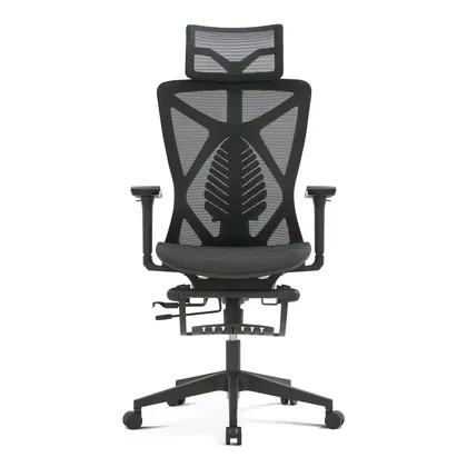 Hot Sales Swivel Office Furniture Plastic Home Desk Ergonomic Executive Chair with Footrest (2216 Series) view 2